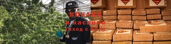 стаф Алексеевка