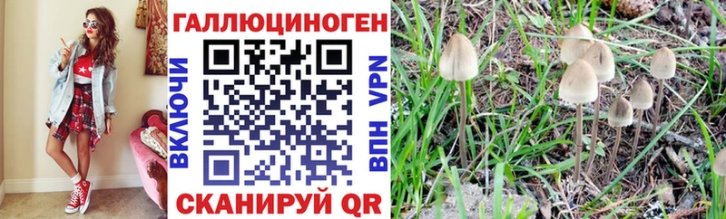 Псилоцибиновые грибы MAGIC MUSHROOMS  Обоянь 