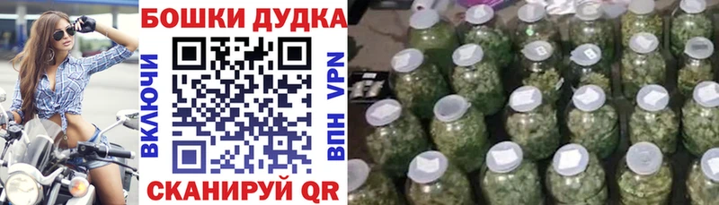 как найти закладки  Обоянь  Бошки Шишки марихуана 